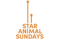 Star Animal Sundays